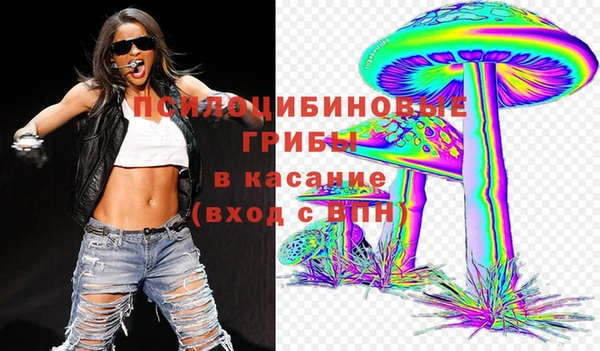 хмурый Мегион