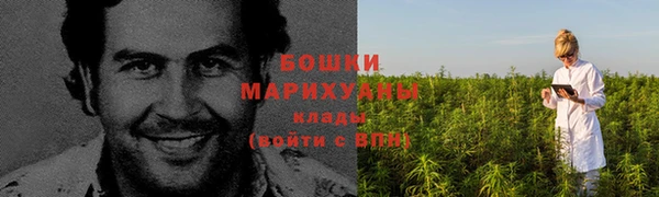 PSILOCYBIN Медвежьегорск