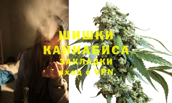 PSILOCYBIN Медвежьегорск