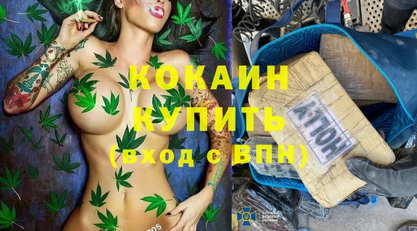 PSILOCYBIN Медвежьегорск