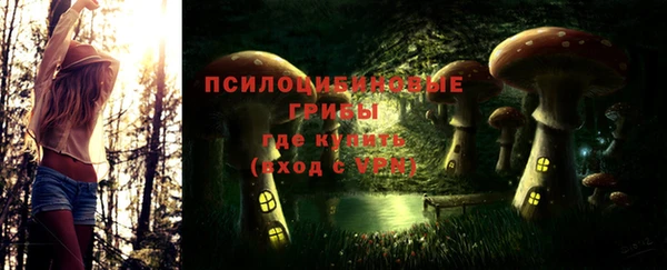 PSILOCYBIN Медвежьегорск