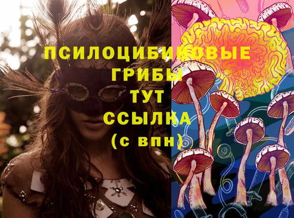 хмурый Мегион