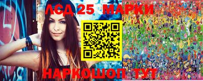 гидропоника Будённовск