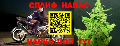 стаф Бузулук