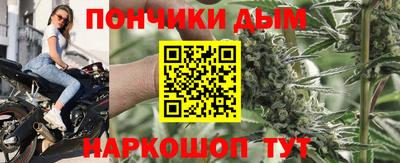 гидропоника Будённовск