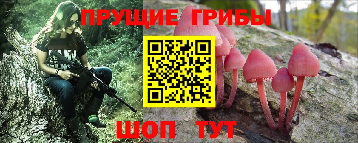 Галлюциногенные грибы ЛСД  Галлюциногенные грибы прущие грибы  Реутов 