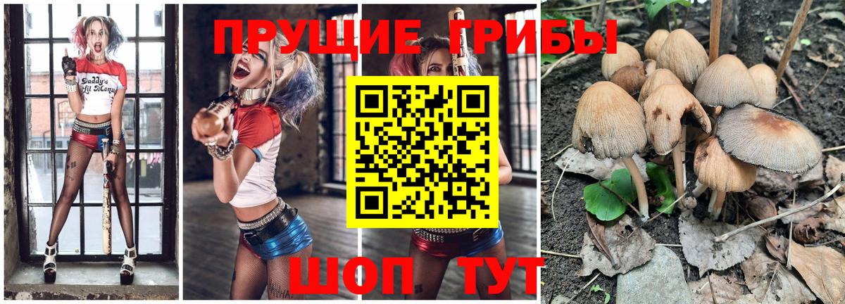 Реутов  Галлюциногенные грибы мицелий  закладки  Вход с VPN 