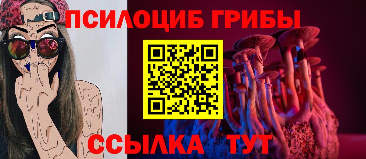 Псилоцибиновые грибы Psilocybe Реутов