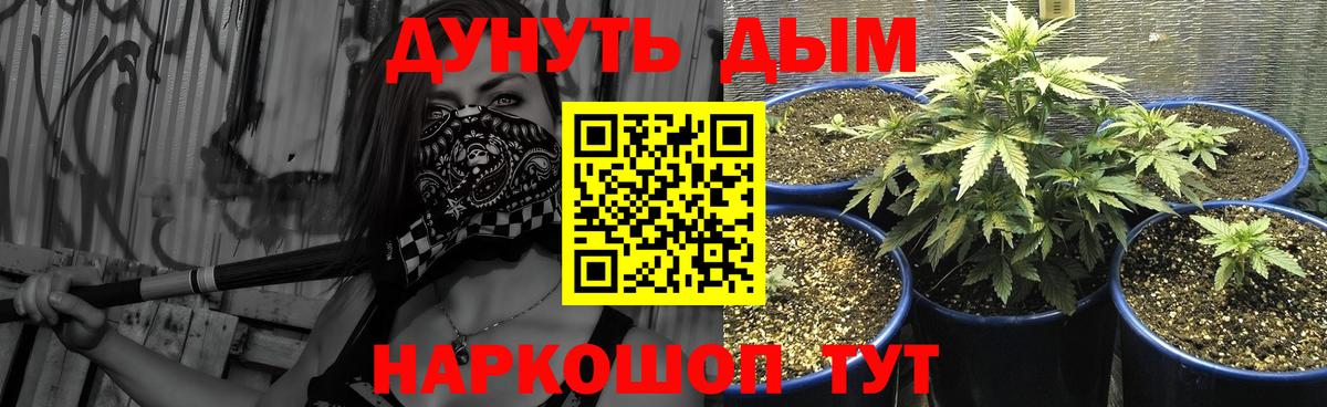 Канабис тримм  Марихуана Amnesia  Каннабис семена  Реутов 