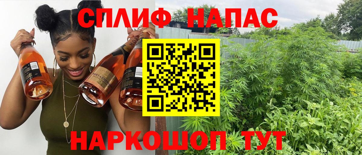 Бошки марихуана ГИДРОПОН  Канабис Bruce Banner  Вход с VPN  Реутов 